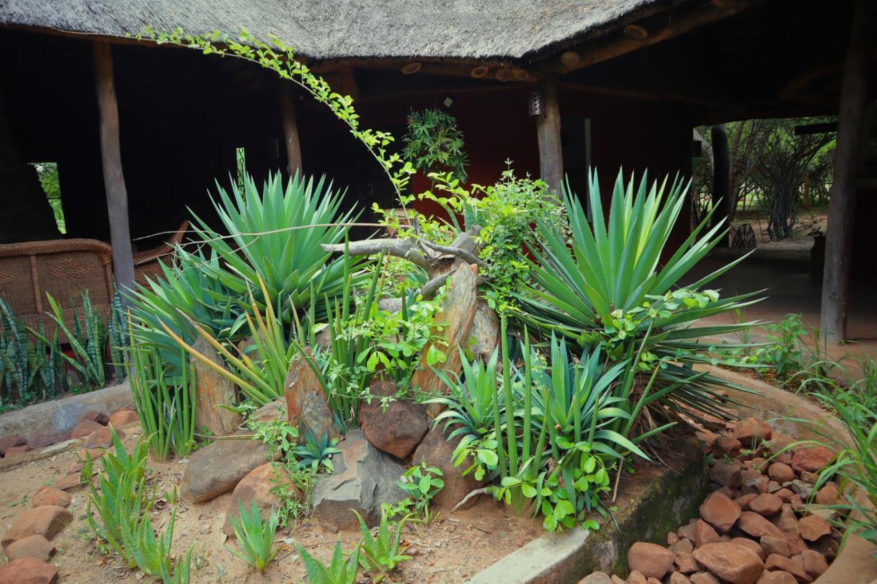 Munga Eco-Lodge Livingstone Luaran gambar