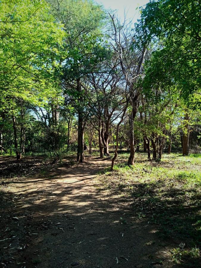 Munga Eco-Lodge Livingstone Luaran gambar